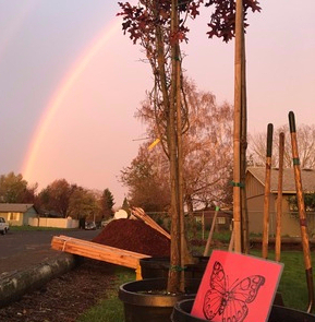 Butterfly Rainbow Butterfly Rainbow